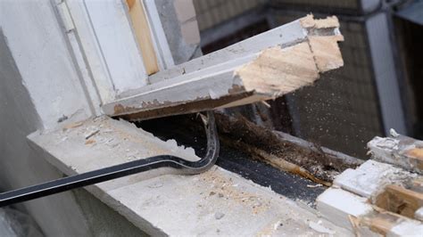 The Ultimate Guide To Renovating Your Windows .